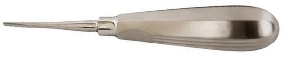 Elevator bone chisel