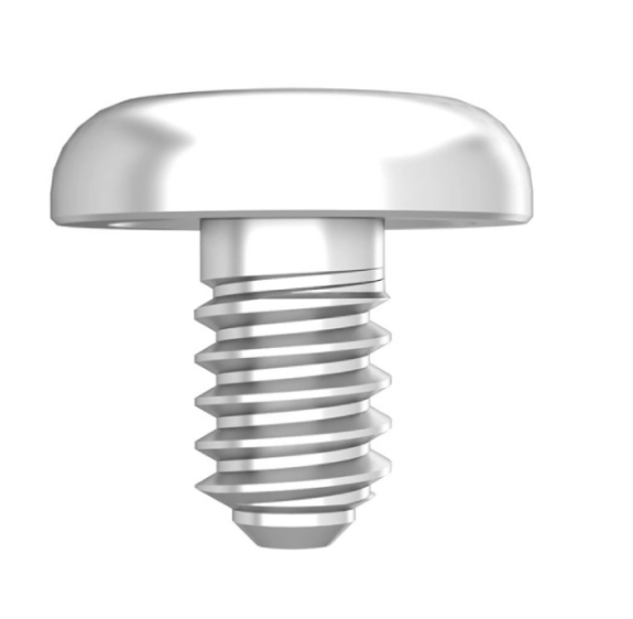 Dental Master Cover Screw