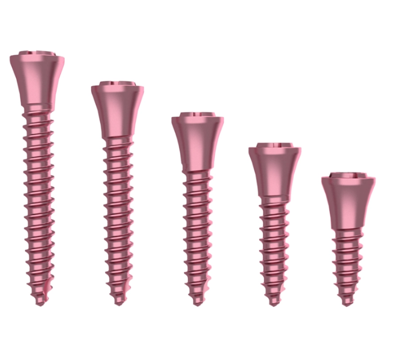 Dental Master Supporting Screw