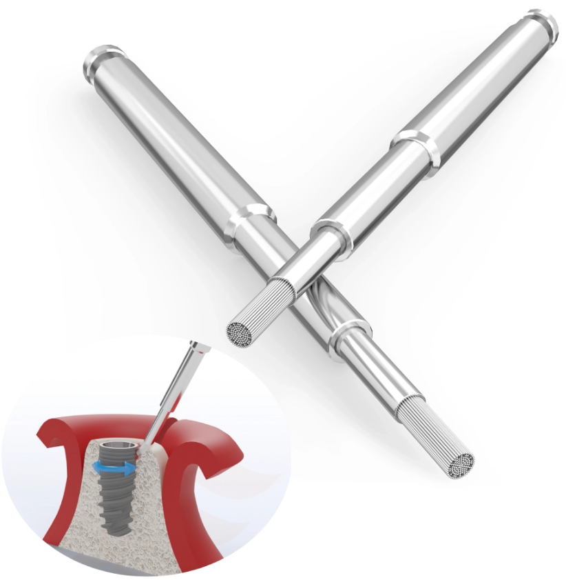 Dental Master Titanium Brush