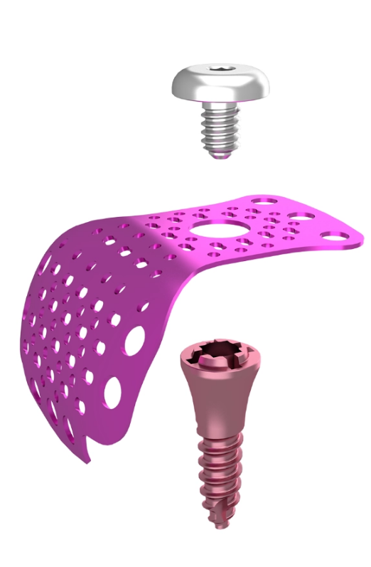 Dental Master Titanium Mesh T1 type
