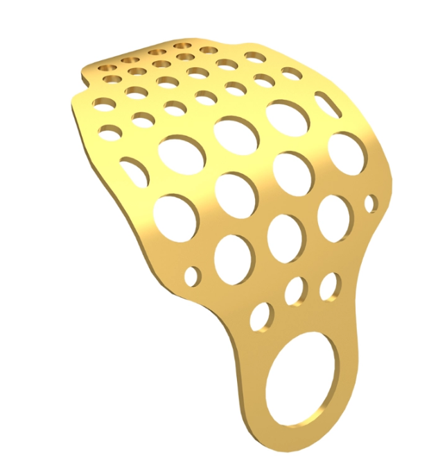 Dental Master Titanium Mesh T2 Type