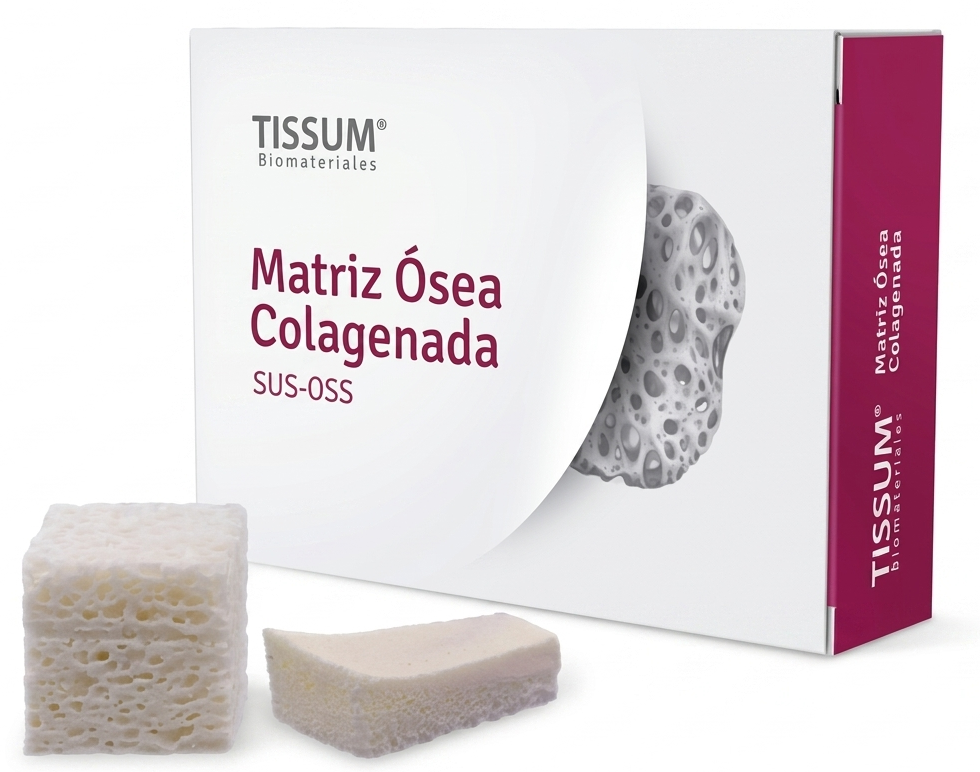 TISSUM Blok Sümük (10 × 10 × 10 mm)